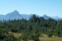 160617169_1315762355