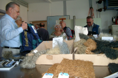 Pferdehaarspinnerei 16. Juni 2005