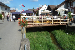 Wanderung Randen 14. September 2014