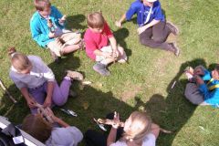 OLYMPUS DIGITAL CAMERA