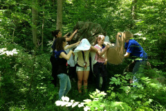 640967462_1378056900