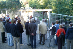 Wildpark Bruderhaus 1. September 2010