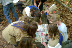 708826136_1319819336