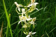 843717365_1255207858