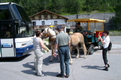 IMGP3254