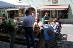 IMGP3260